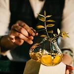 布拉迪斯拉发丽笙布鲁卡尔顿酒店 酒店 布拉迪斯拉发