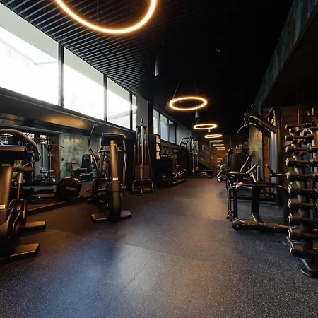 Radisson Blu Carlton Hotel, Szálloda