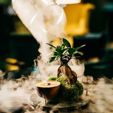 布拉迪斯拉发丽笙布鲁卡尔顿酒店 4*