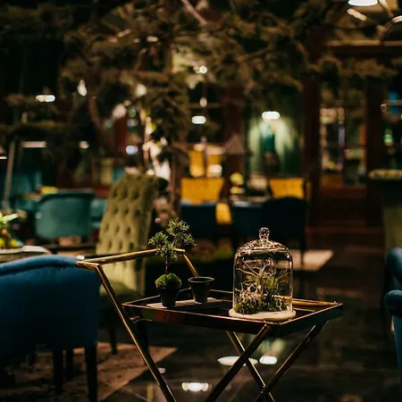酒店 布拉迪斯拉发丽笙布鲁卡尔顿酒店 4*
