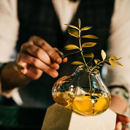 Radisson Blu Carlton Hotel, Hotel Bratislava